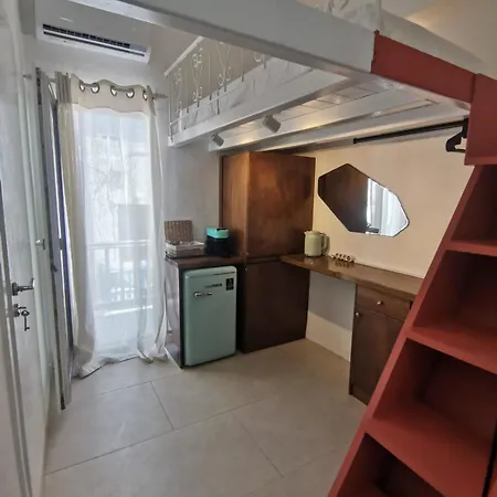 Sea Urchin In Mykonos Heart Appartement